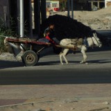 Altstadtleben Hurghada